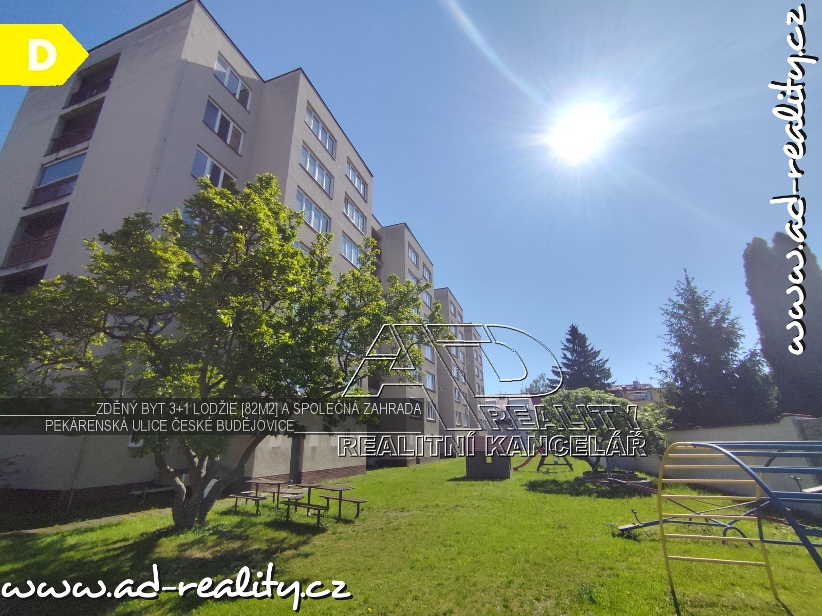intro-image